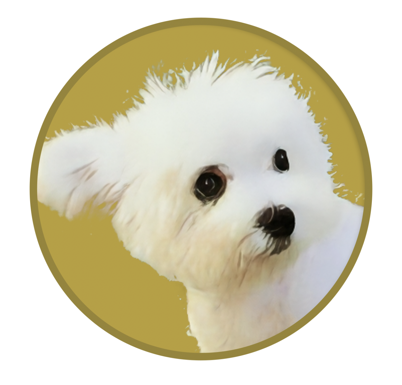 bubble_doge