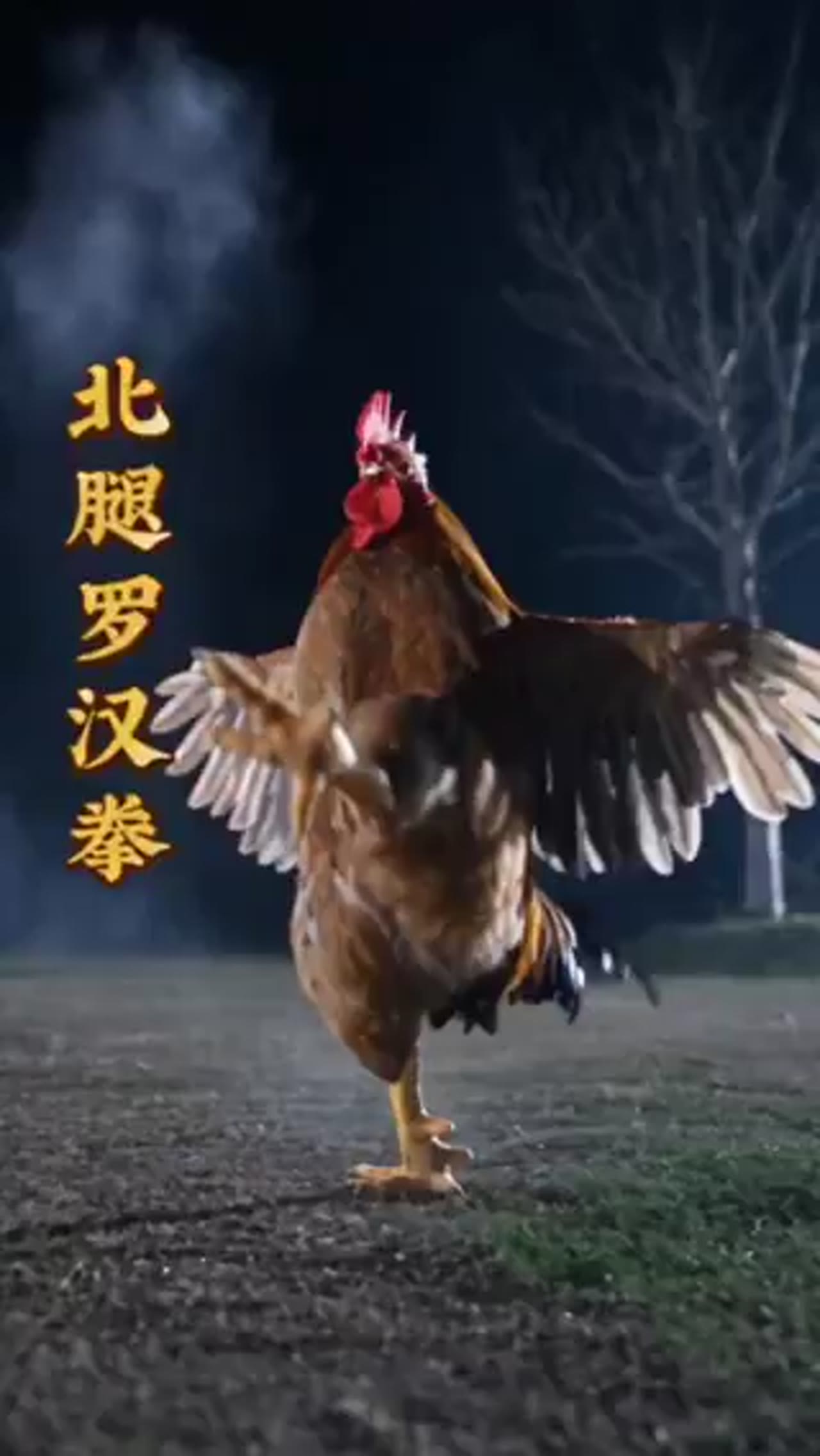 Kung Fu Rooster